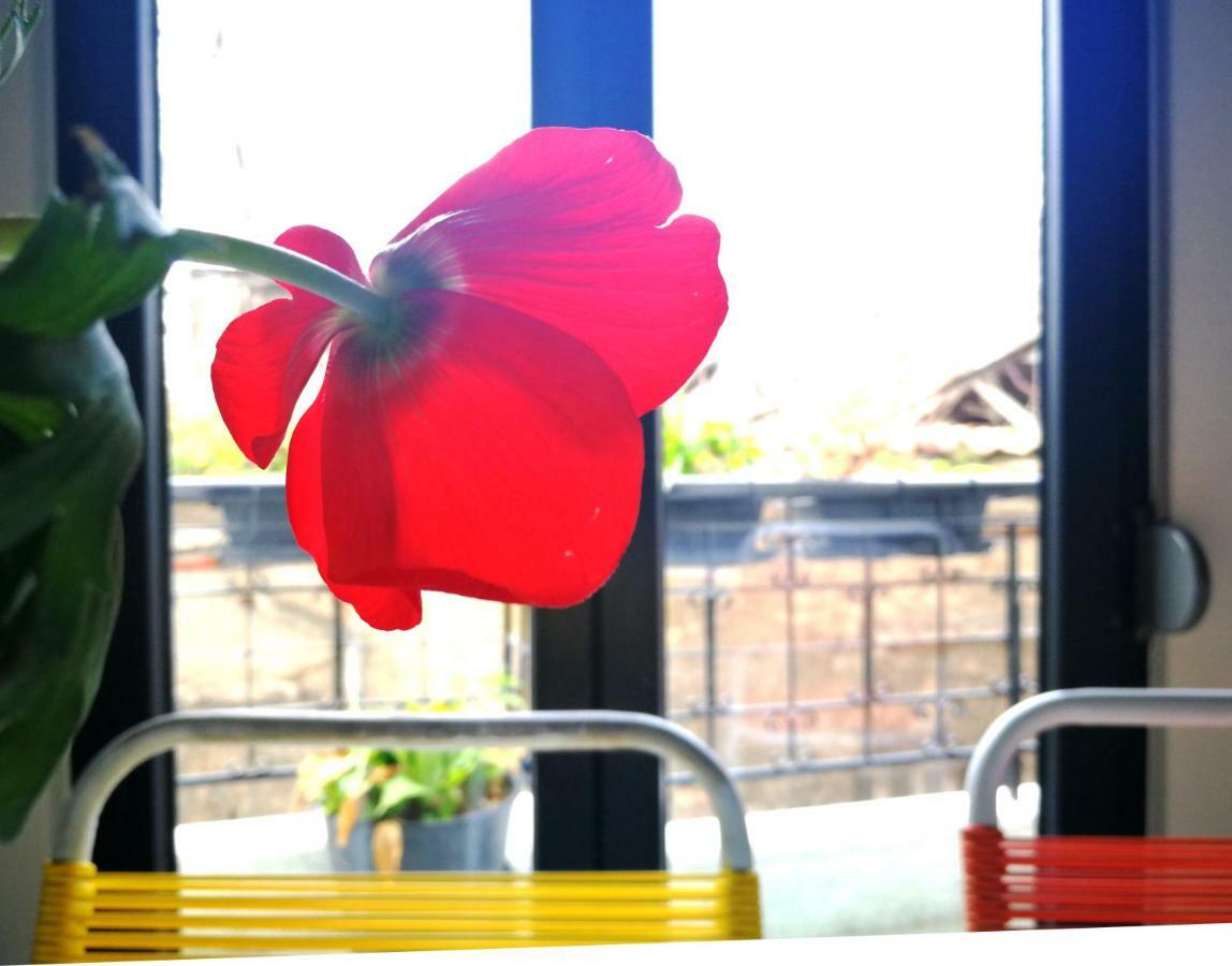 Semedaki, A Modern Appartment In The Centre Of History 아테네 외부 사진